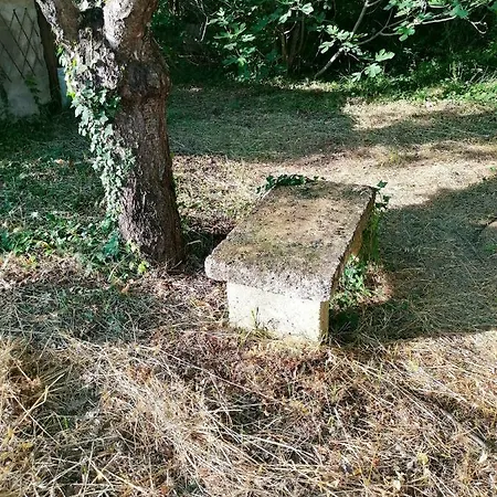 De 2 Chambres Avec Piscine Privee Jardin Clos Et Wifi A D'asse 빌라 Bras-d'Asse